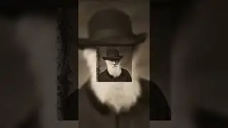 3 Quotes Charles Darwin