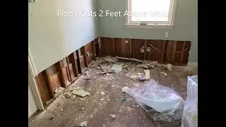 Behind Baseboard Mold Damage