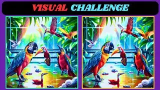 The Hardest Puzzle: Find All 3 Differences | Bird Edition-2