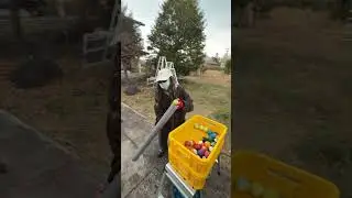 Marble Run☆Мисс Камерин с 30-летним опытом работы с мрамором②