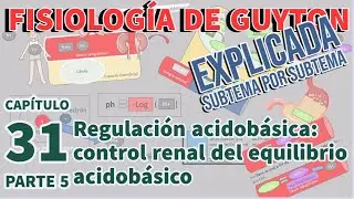 CAP 31 (5/7) Control renal del equilibrio &aacute;cidob&aacute;sico l Fisiolog&iacute;a de Guyton