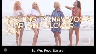Tipsy Reacts to Mamamoo's 