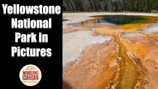 Yellowstone National Park in Pictures