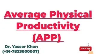 Average Physical Productivity | APP | Meaning Of Average Physical Productivity | Economics | CUET
