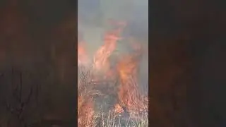 Пожар