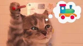 Little Kitten My Favorite Cat Preschool Games - Early Learning Educational Games For Kids