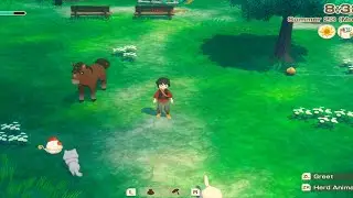Live Story of seasons grand bazar