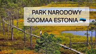 Park Narodowy Soomaa- Estonia