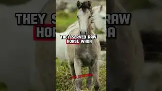 Eating raw horse meat in Japan! Joe Rogan and Sonny #shorts #jre #joerogan