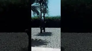 Nuova location