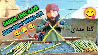 Gannay Ke Peechay Gaya... Khud Ganna Ban Gaya! 😂🧃 | Desi Funny Vlog | Tiger sajid