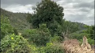Rural Tanzania 01
