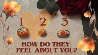 Blunt AF💯How Do They Feel About You?🧡Their thoughts and feelings Pick a Card Tarot Reading✨️TIMELESS