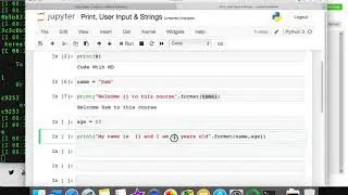 Print, User input & Strings in Python