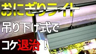 コケを駆除するために照明を吊り下げ式に！コケ取り生体も導入！#33【アクアリウム】