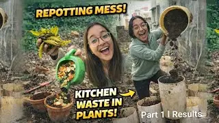 Part 1. I Ruined My Garden on Purpose 😱 | Kitchen Waste Gardening Experimentding#gardening#mess#like