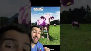 &ldquo;You Need to Find the Purple Cow&rdquo; #how