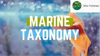 marine taxonomy/taxonomy of finfish/ICAR/BFSC fisheries/jrf/srf/nabard/handbook of fisheries/FRM