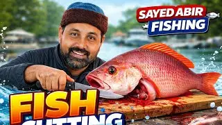 🔴 LIVE Fish Cutting Now | আজ এত বড় মাছ! 😱