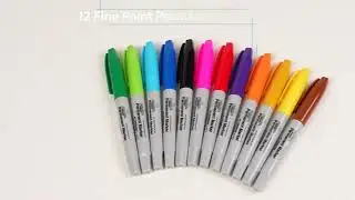 Apostrophe Games Fine Point Permanent Markers - 12 Colors