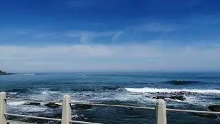 Sea Point Cape Town South Africa Saturday morning walk (11) 26 Oct 2024