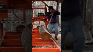 #shortvideo! Turning a #cherrylog! With a Bow in it 90 Degrees to saw 4th Slab!!
