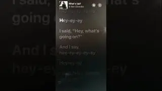 What's Up? - 4 Non Blondes (Nicky Minaj Remix)
