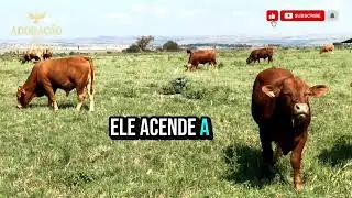 Eu vou Vencer com Jesus./ Louvor de coragem e conquistas/ lançamento 2026
