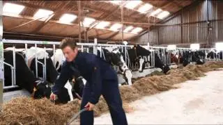 Abiant Uitzendgroep