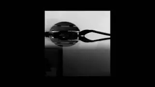 TW Steel Fan-Made Commercial
