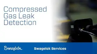 Compressed Gas Leak Detection Services | Swagelok Services | Swagelok [2020]
