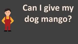 Can I give my dog mango ?
