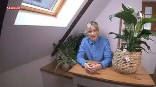 Škola vrtlarstva - najizdržljivije sobne biljke