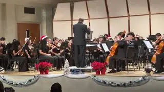 Winter Gala - Miami Youth Symphony - Victoria&rsquo;s Upright Bass