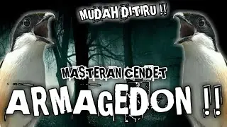 MASTERAN CENDET SUARA TEMBAKAN || ARMAGEDON !!
