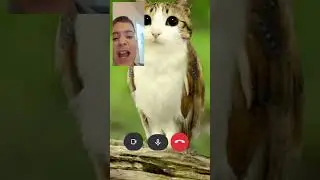 stop calling me creep