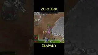 Byk Mateo zapomniał o stunie #shorts #pxg #pokexgames #tibia