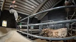 MASHER: Bowls and Bulls
