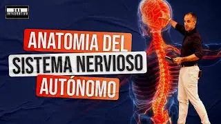 ATENCIÓN: Cómo la ANATOMÍA del Sistema Nervioso Autónomo TRANSFORMA tus DECISIONES CLÍNICAS!