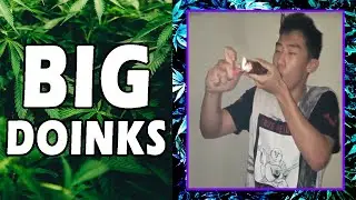 WEED MEMES & Fail Compilation [#97] - Fatally Stoned