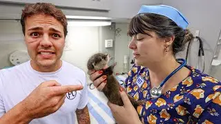 My BABY OTTER went to the VET&hellip;