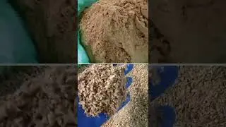 Syingbah Ginger &ndash; Tea Bag Cut & Powder | Sulphur-Free, Lab-Tested Meghalaya Ginger