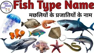 Fish Name l Fishes Name In English With Pictures l Fishes for kids | Fish video | Fish Types