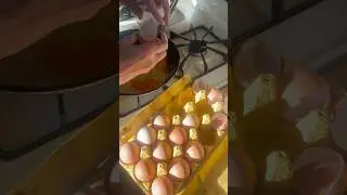 How to EGGSHELL Hack 🥚 👍👍#hack #egg #breakfast