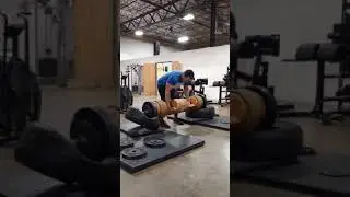 Mark Carpenter Static Monsters Log Press
