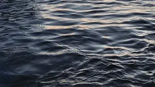 Ocean Waves ASMR | Real, Natural Beach Sounds &ndash; Recorded on Location (30 Min)