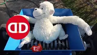 Shredding ASMR Reverse Video🙉 save me from the shredder reverseshredding22