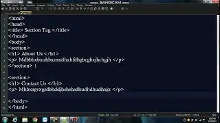 Section Tag in HTML | How to apply it on webpage or website | Tech Swaraj