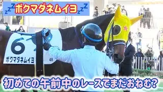 初めての午前のレースでまだ眠そうな？ボクマダネムイヨ💤
