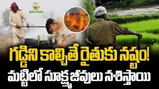 Burning grass is harmful to the farmer! It destroys microorganisms in the soil | Agriculture Awar...